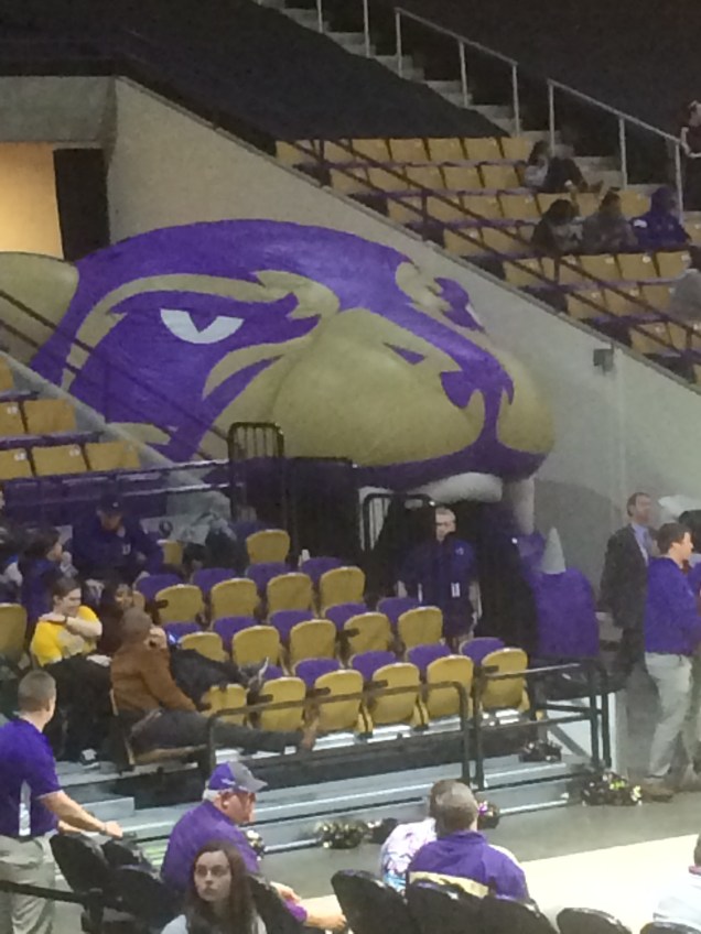 2018-01-25 19.48.48.jpg